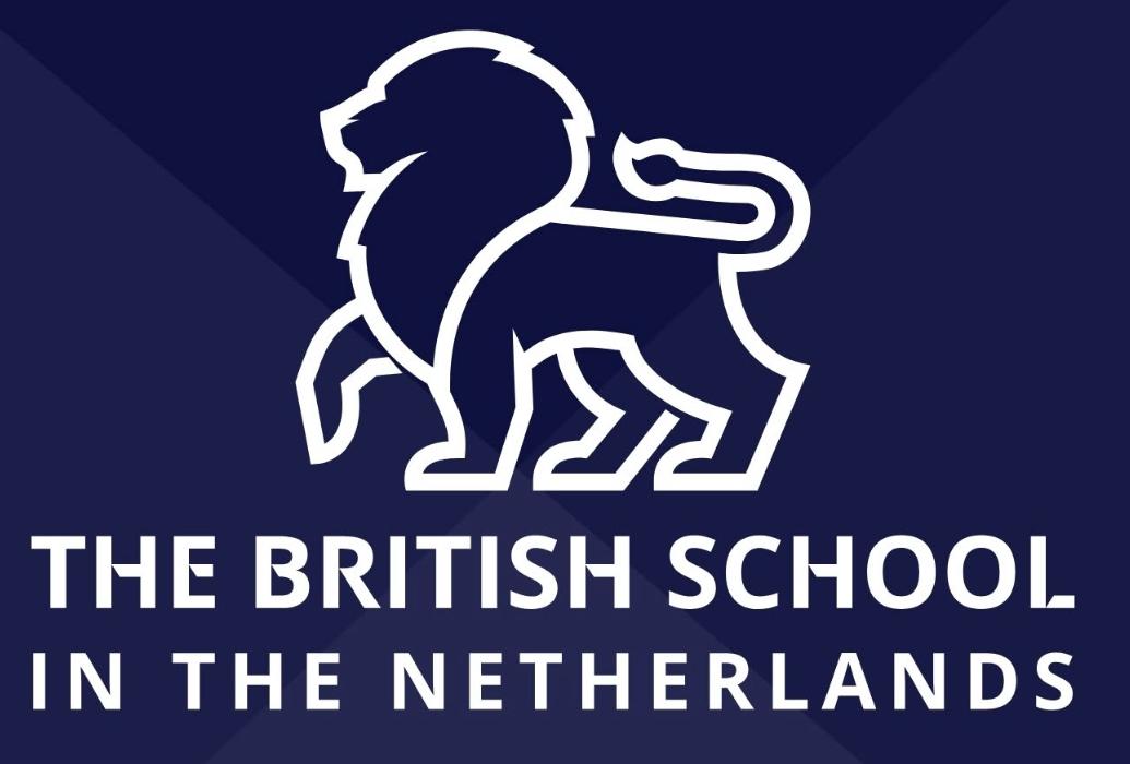 Logo BSN